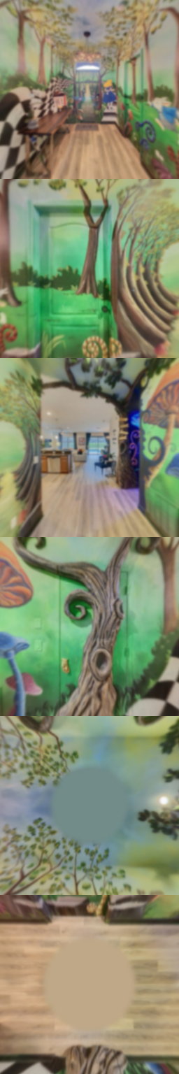 loading blurry tour image