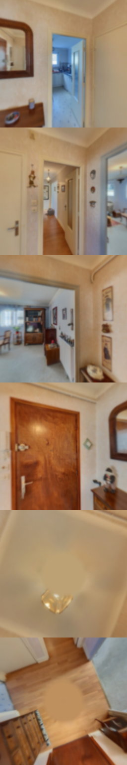 loading blurry tour image