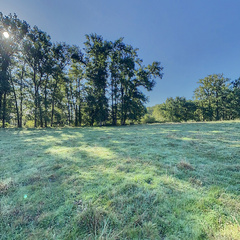 loading blurry tour image