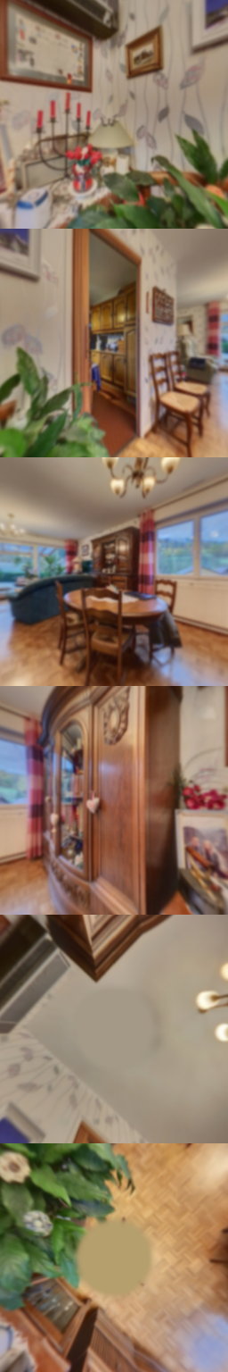 loading blurry tour image