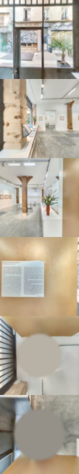 loading blurry tour image