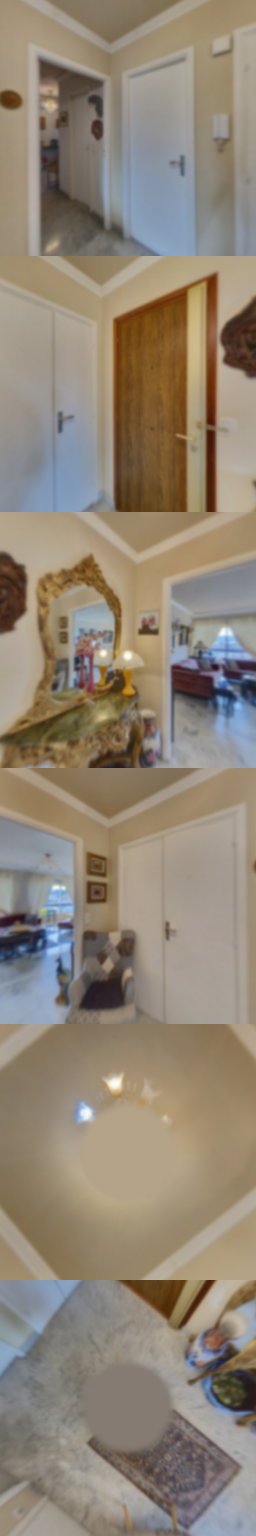 loading blurry tour image