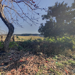 loading blurry tour image