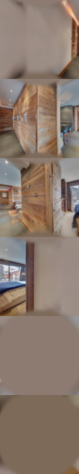 loading blurry tour image